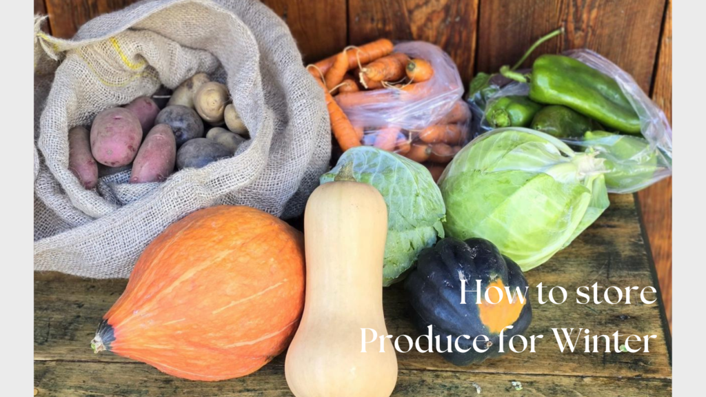 store produce for winter