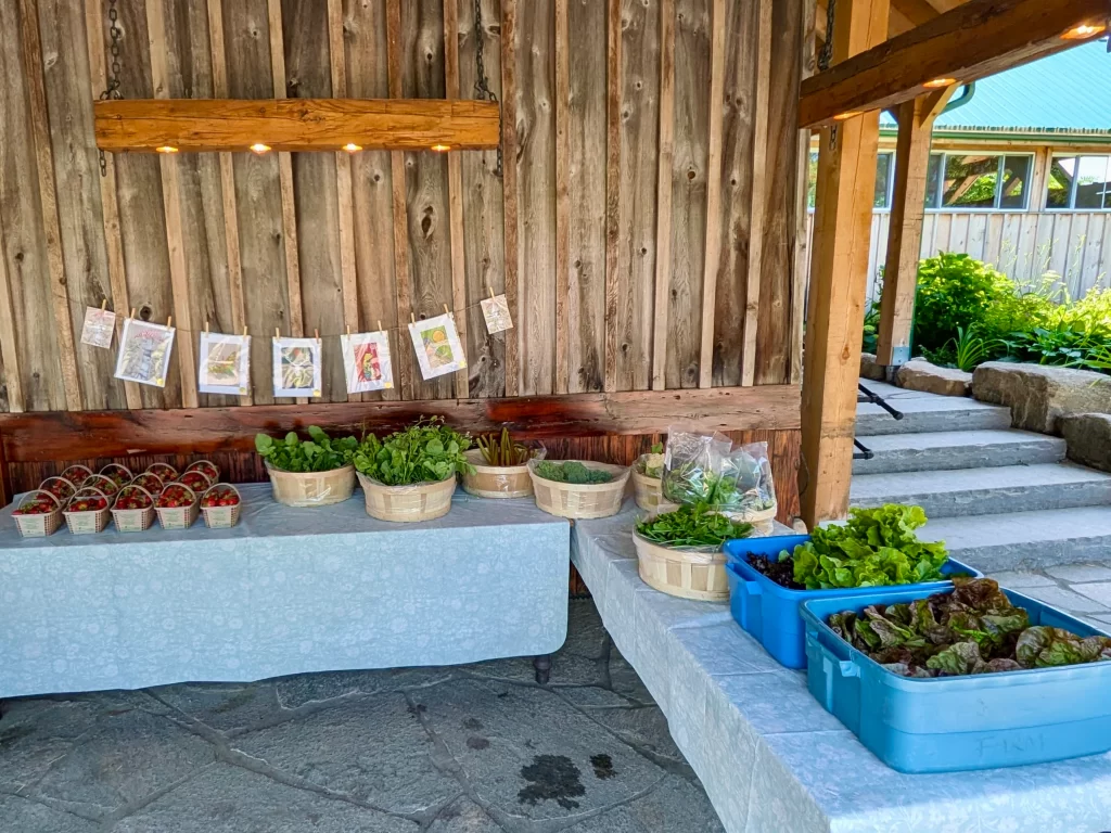 Brooklands Farm Store