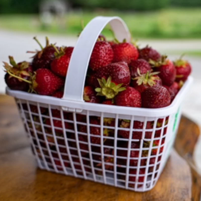 Pre-picked Strawberries